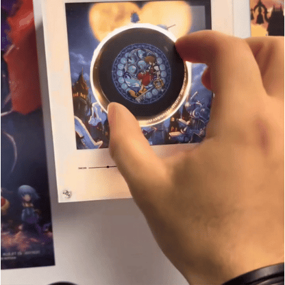 Kingdom Hearts Vinyl Frame